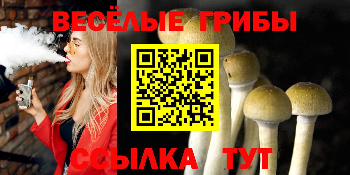 Псилоцибиновые грибы прущие грибы Сарапул