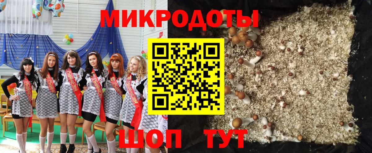 Галлюциногенные грибы Psilocybine cubensis  Вход с VPN  Псилоцибиновые грибы мицелий  Сарапул 